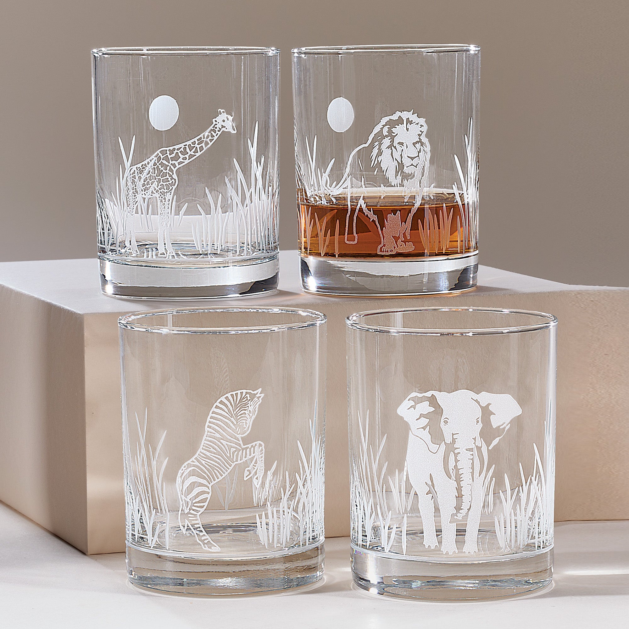 Engraved Glass Safari Tumbler, Set Of 4