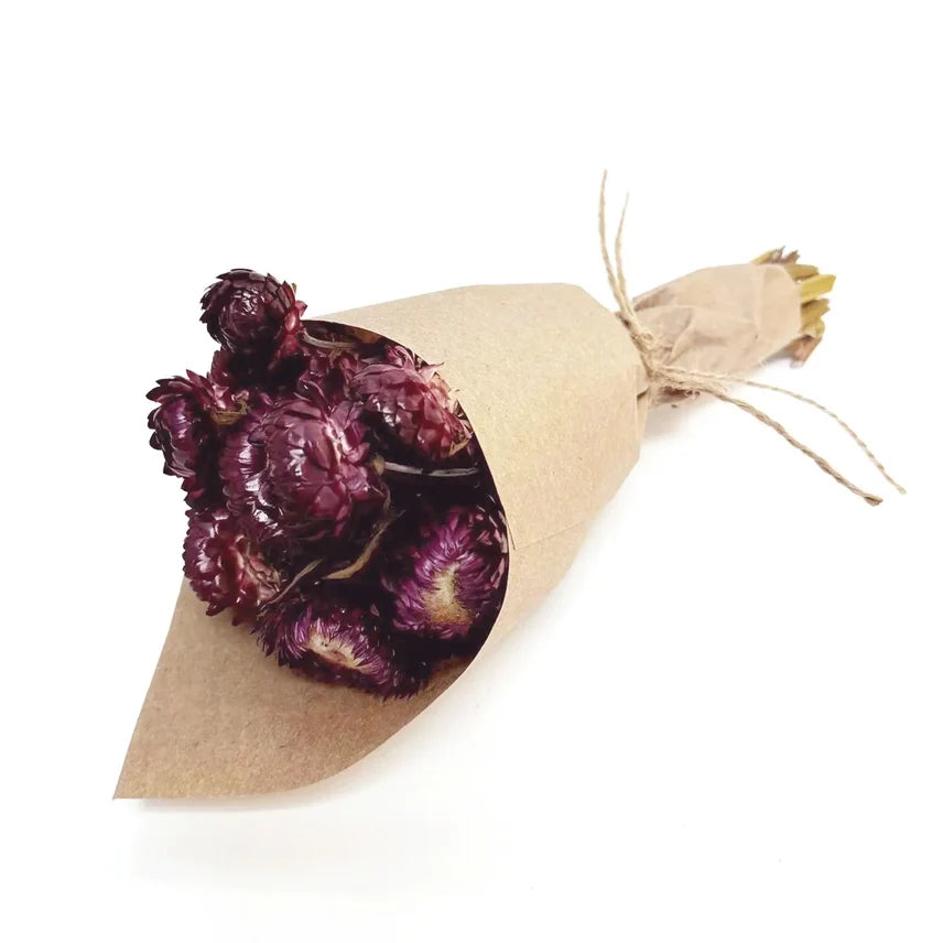 Mini Strawflower Bundle: Merlot