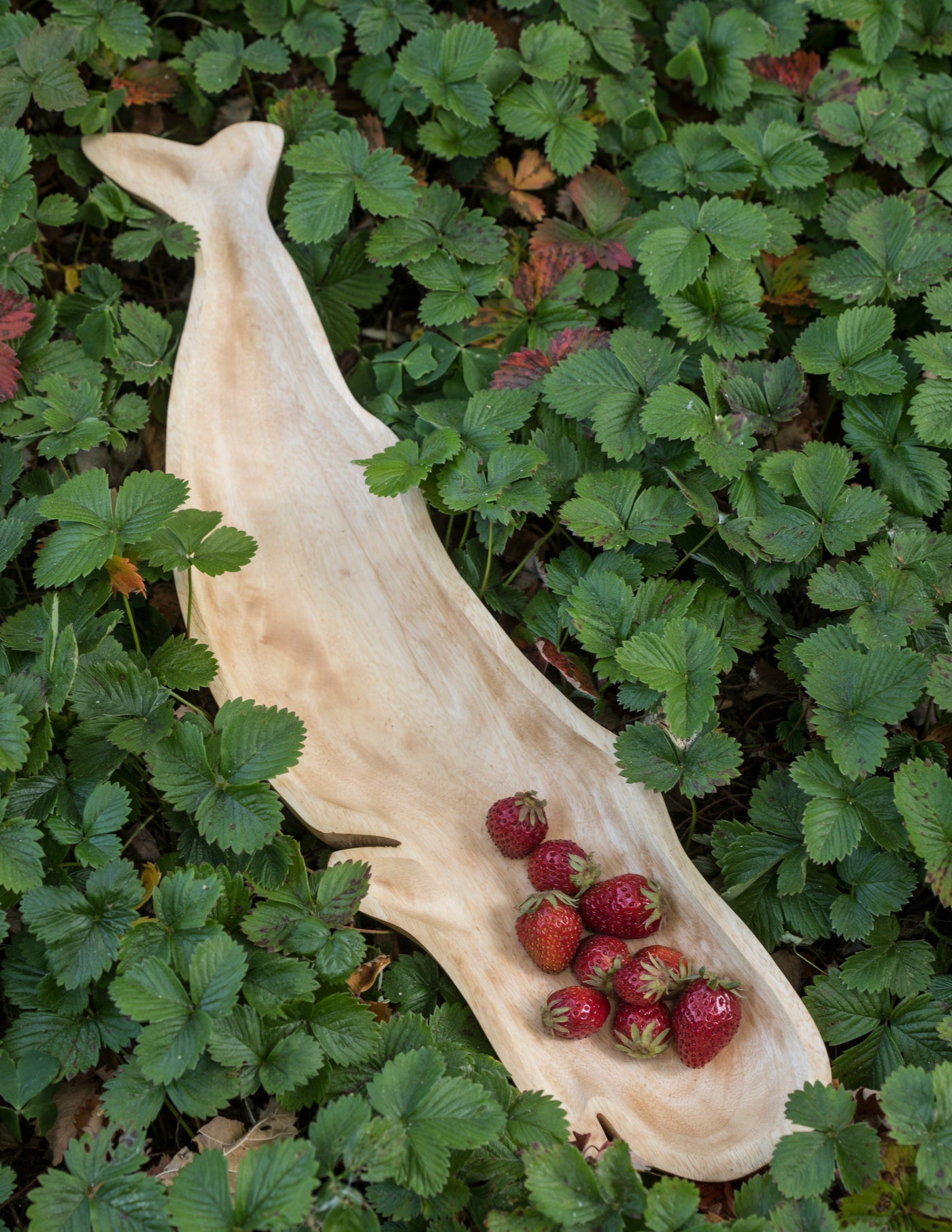 Kiln Mango Wood Whale Dish