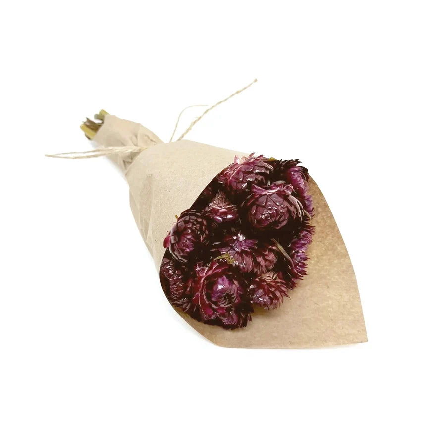 Mini Strawflower Bundle: Merlot