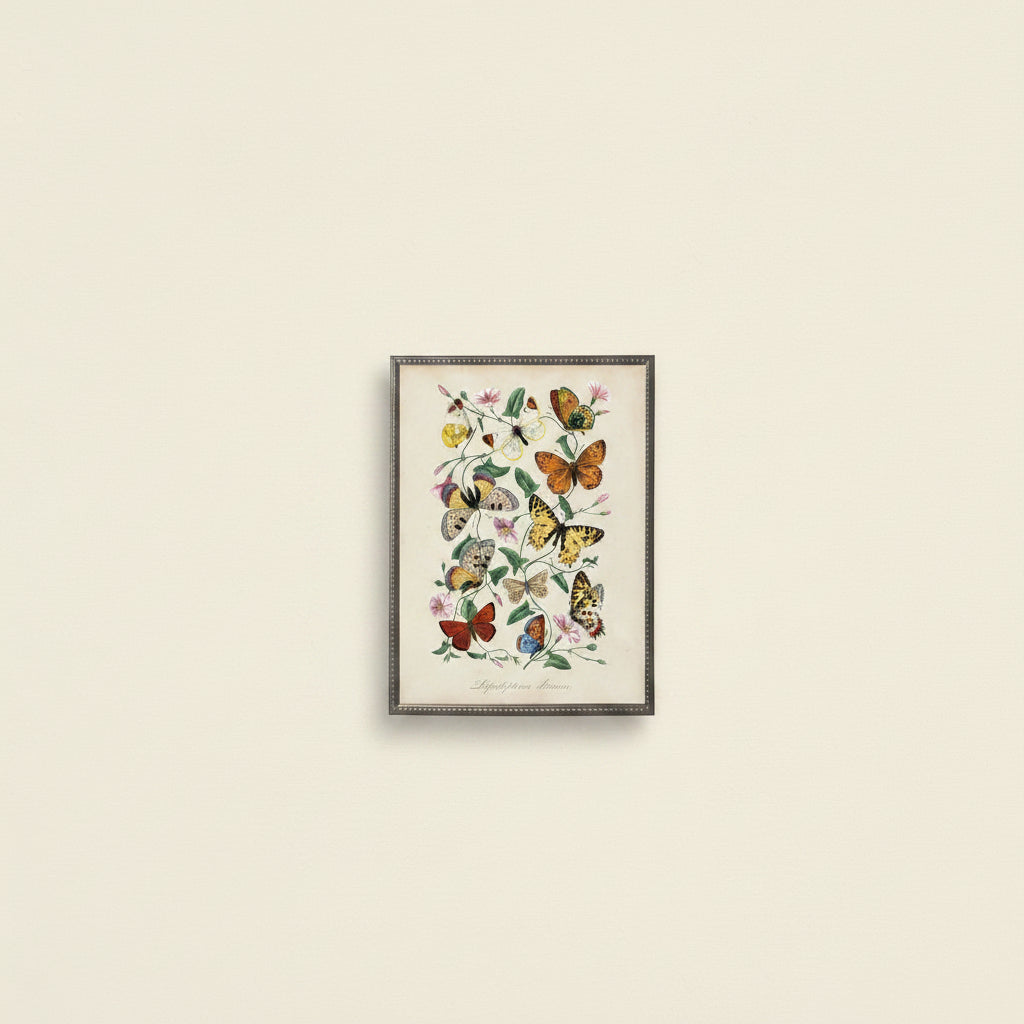 Vintage Butterflies and Flower Print in Beaded Pewter Frame sized 16x20