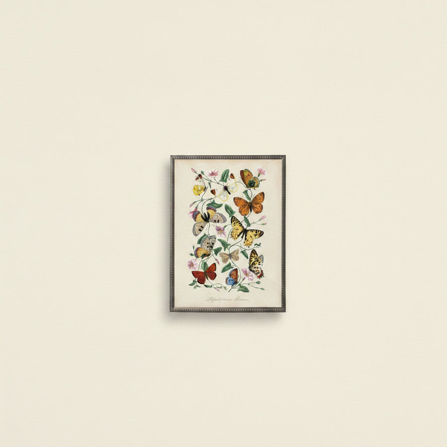 Vintage Butterflies and Flower Print in Beaded Pewter Frame sized 16x20