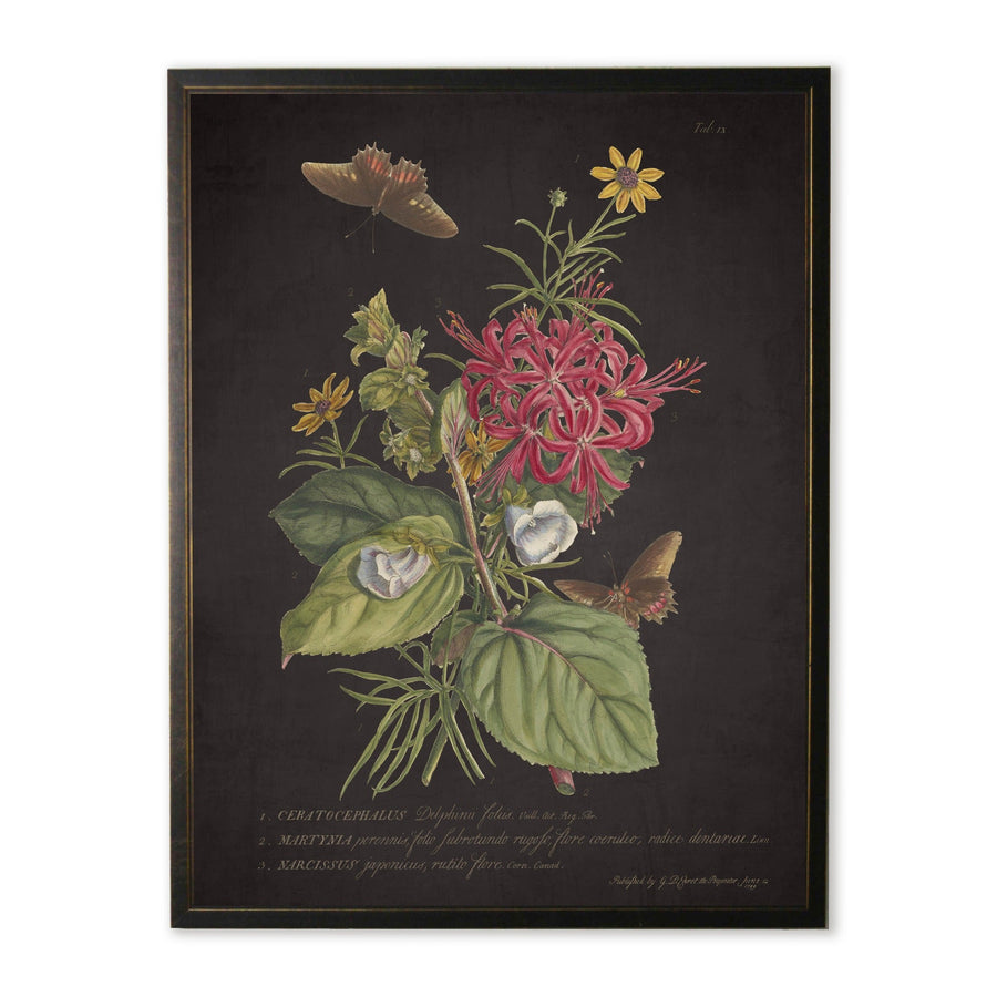 Vintage Botanical Print with Butterflies in Copper & Black Wood Frame (16" x 20")