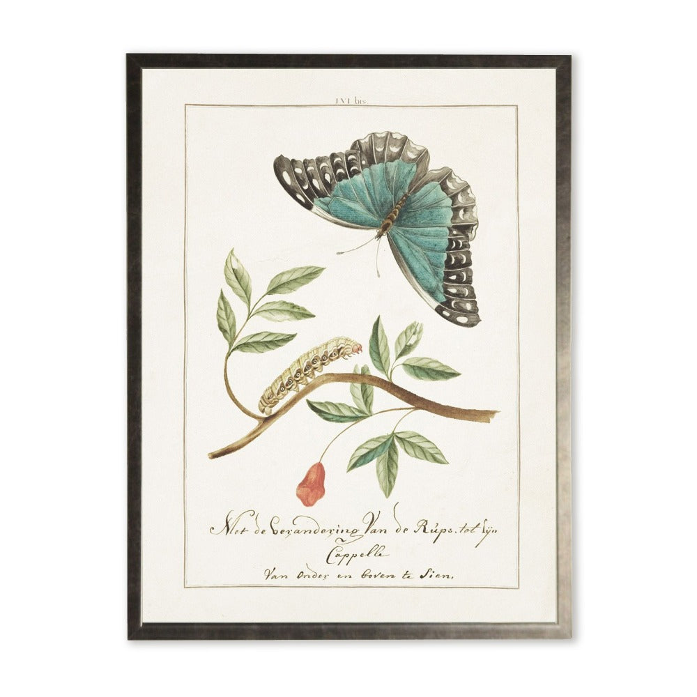 Butterfly and Caterpillar in Silver Frame