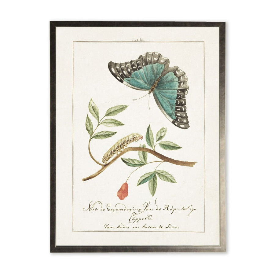 Butterfly and Caterpillar in Silver Frame