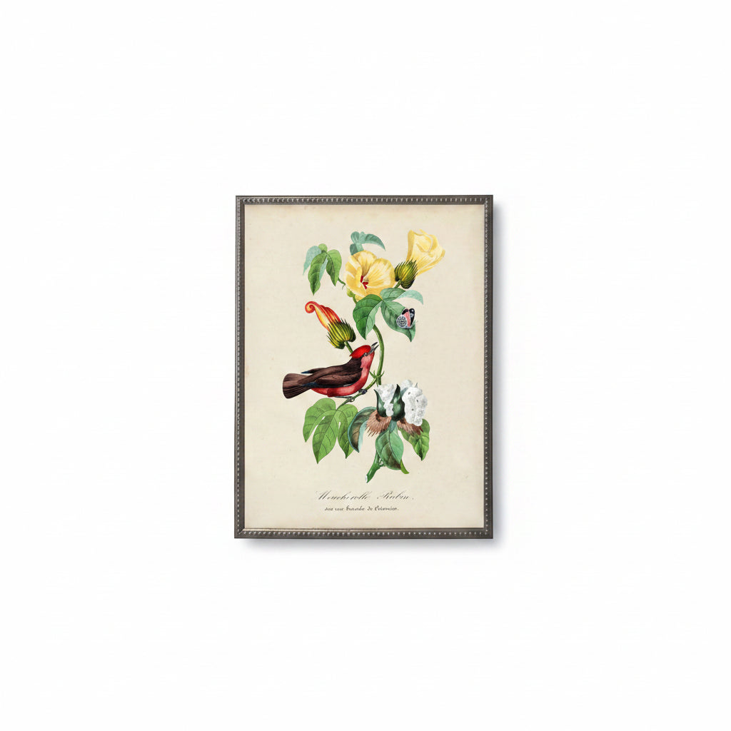Flycatcher and Flower Print in Beaded Pewter Frame
