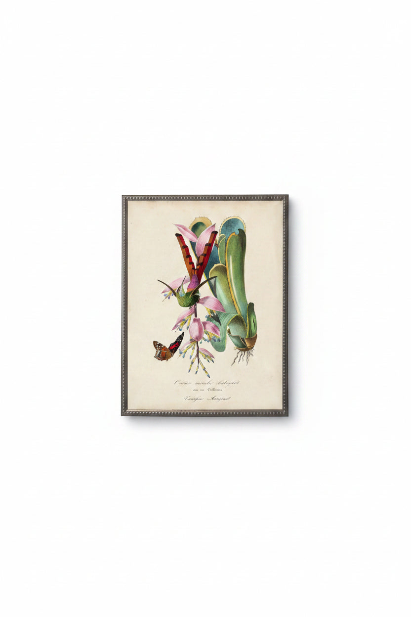 Hummingbird and Flower Print in Beaded Pewter Frame