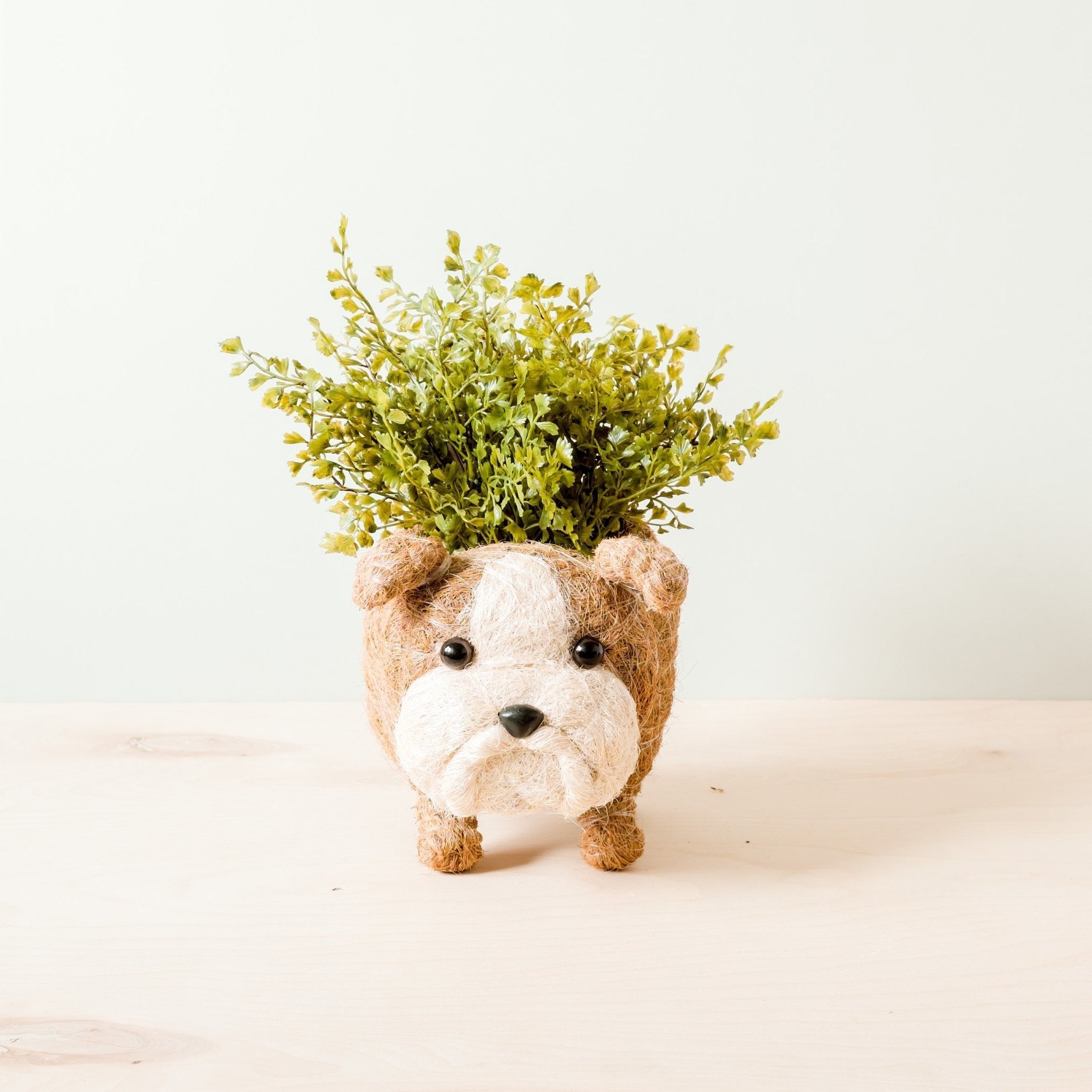English Bulldog Planter