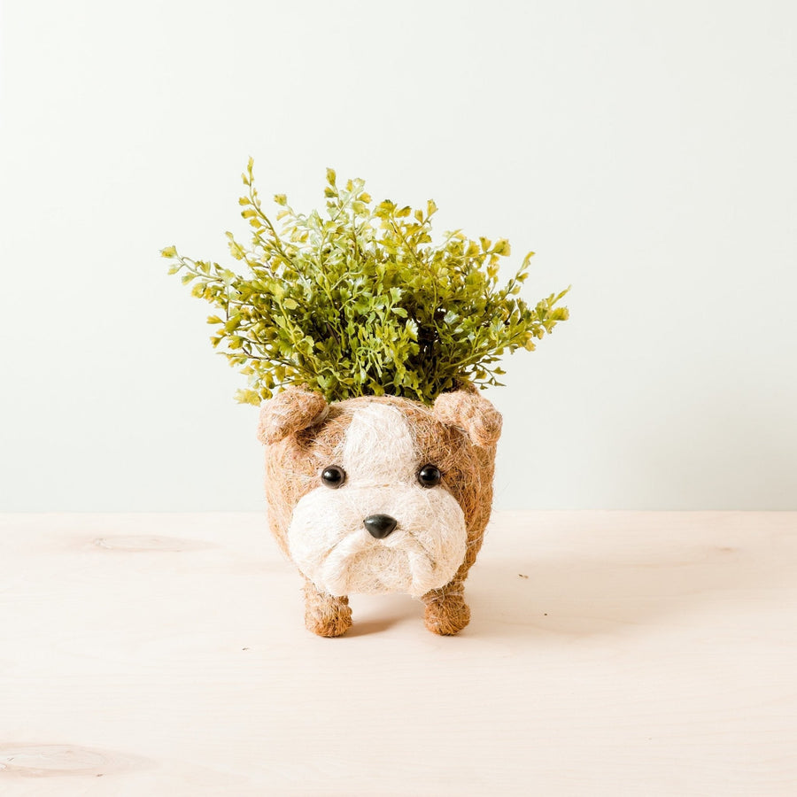 English Bulldog Planter