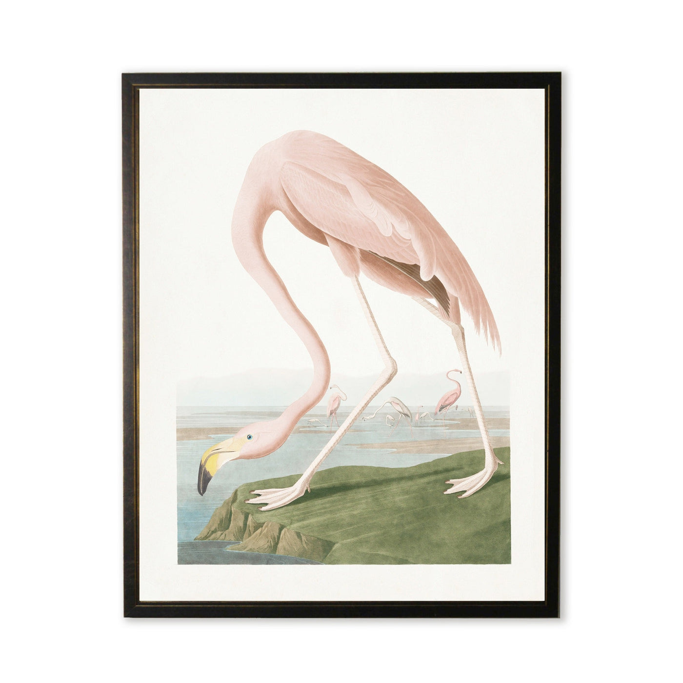Vintage Pink Flamingo Art Print in Black & Copper Wood Frame (18" x 24")