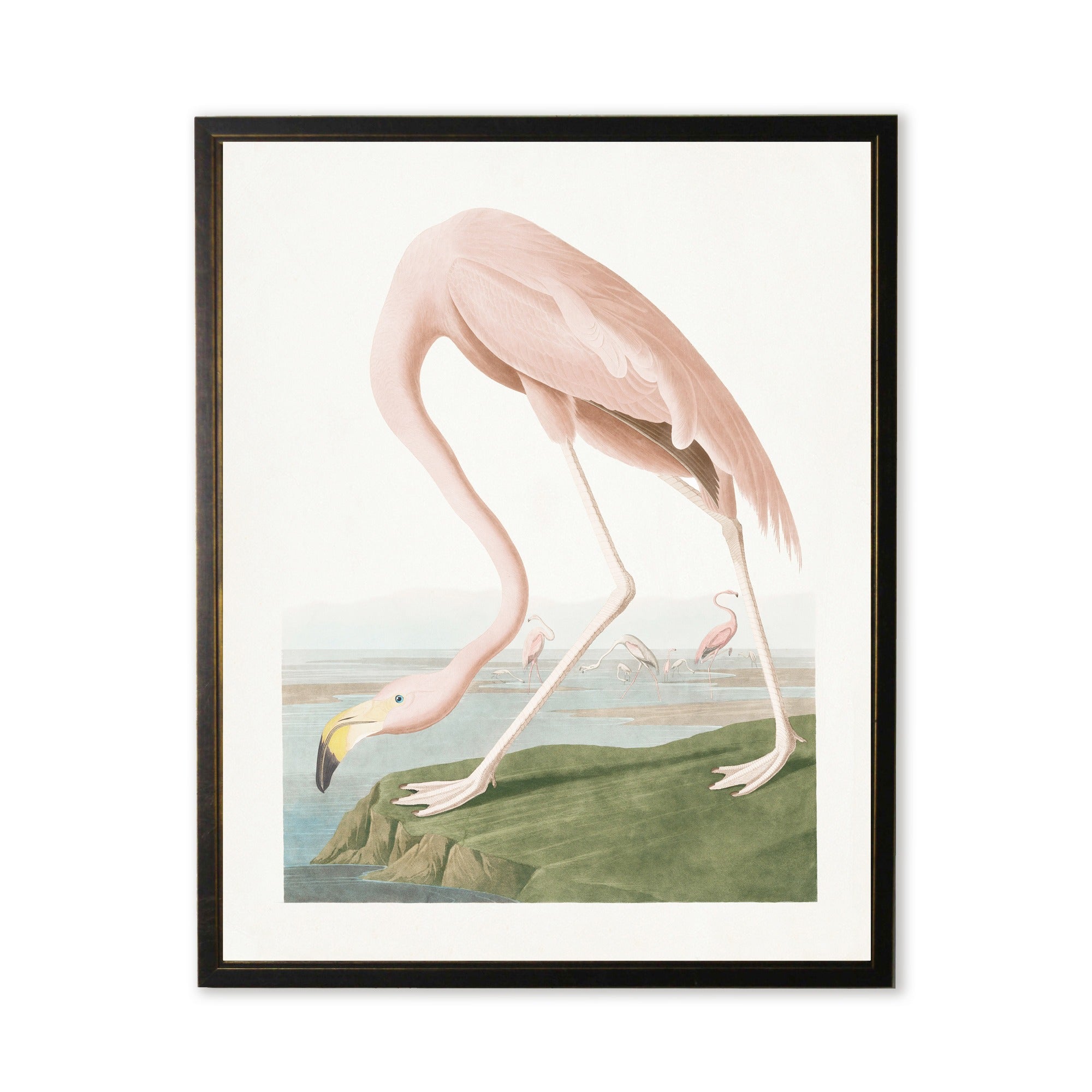 Vintage Pink Flamingo Art Print in Black & Copper Wood Frame (18" x 24")