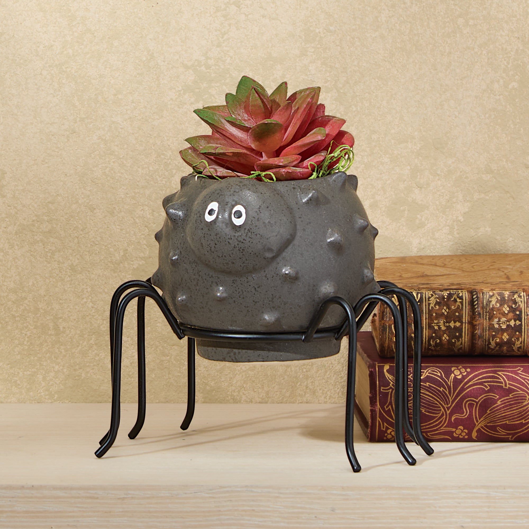 Shriek-Worthy Spider Planter (Preorder)