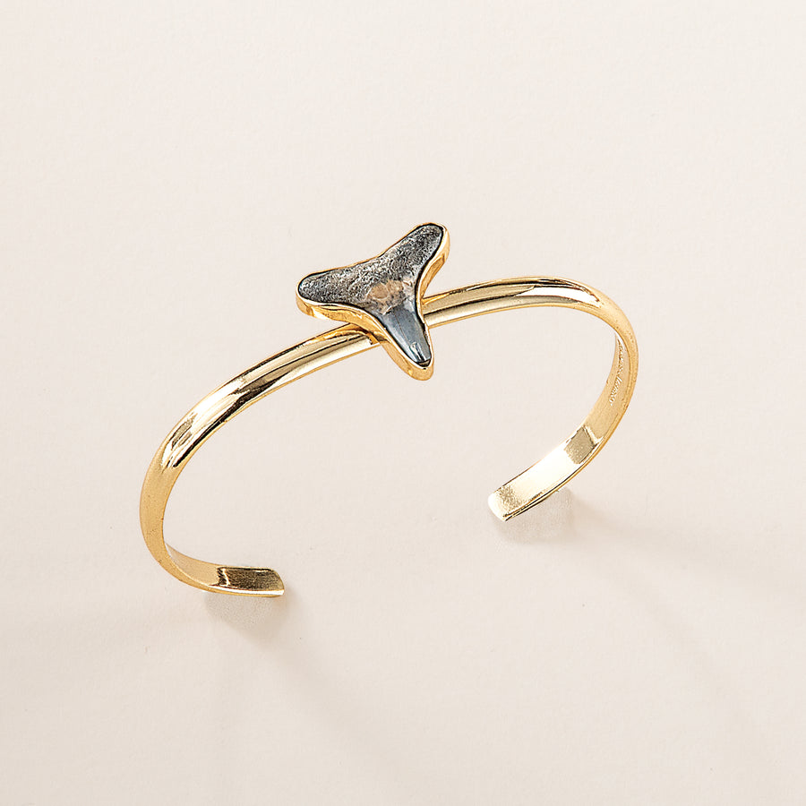 Fossilized Shark Tooth Cuff