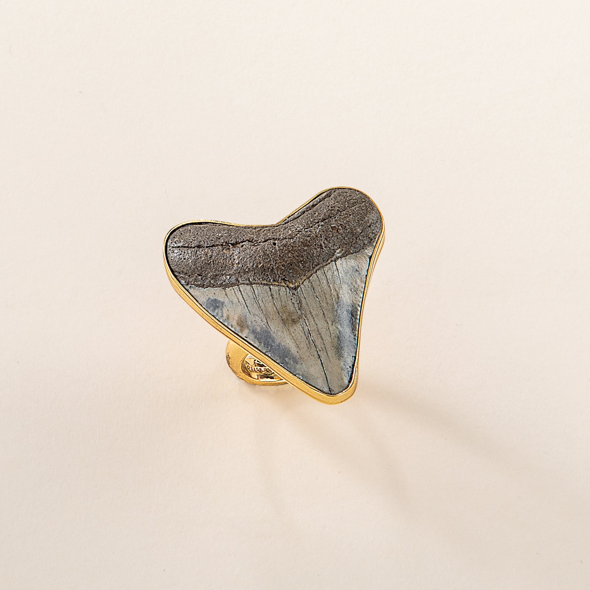 Fossilized Shark Tooth Ring