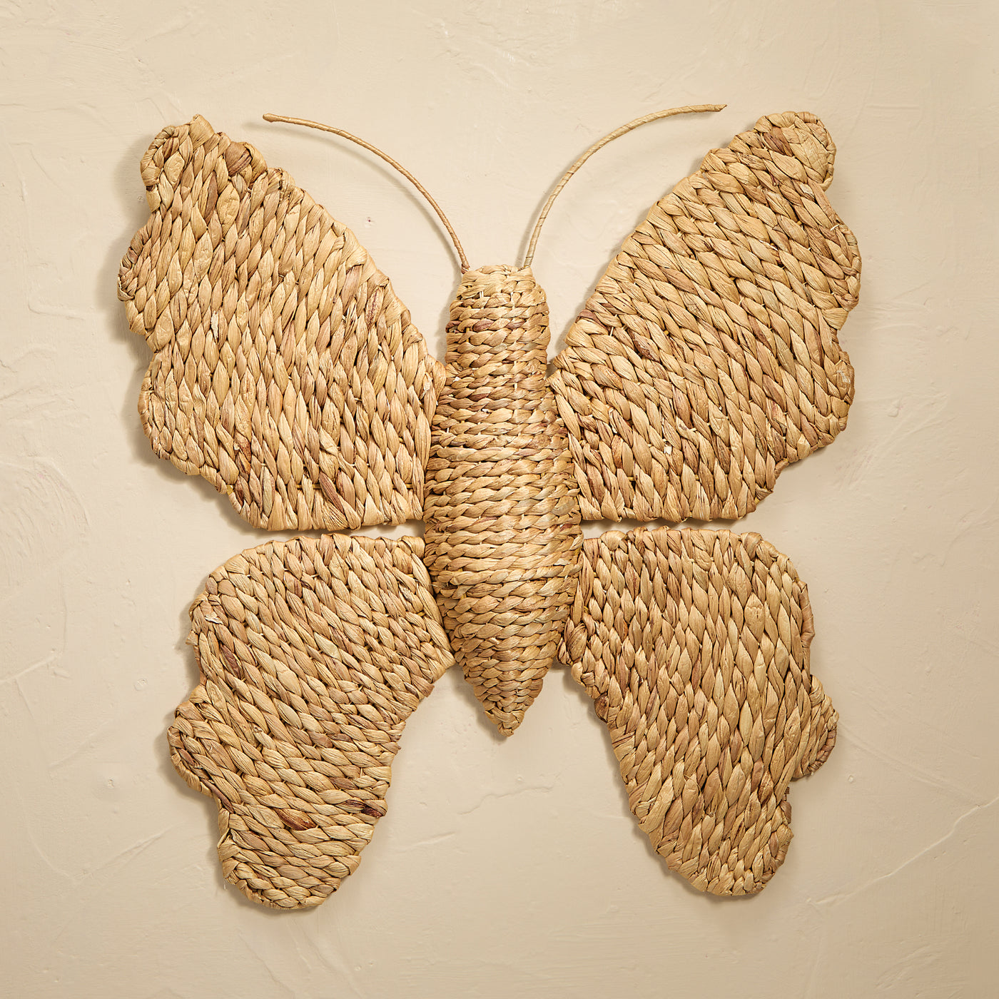 New Beginnings Butterfly Wall Art