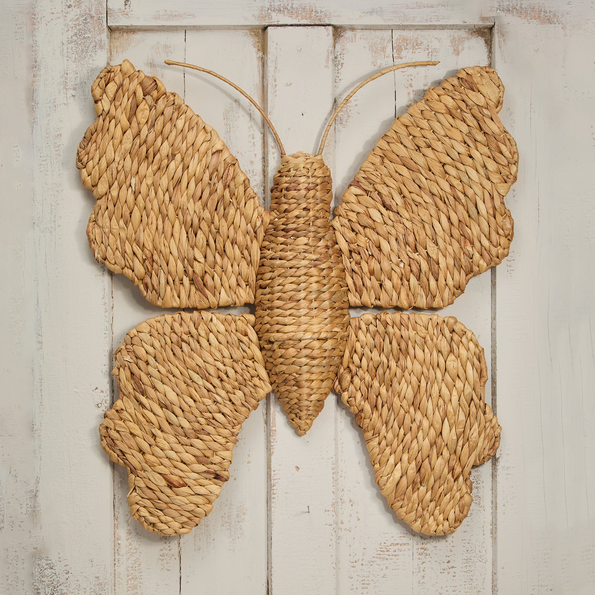 New Beginnings Butterfly Wall Art