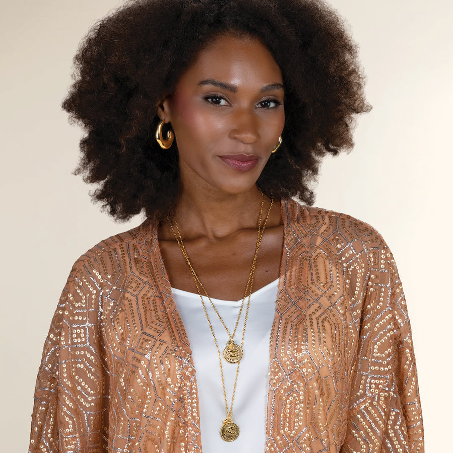 Aquarius Zodiac Birth Sign Coin Pendant Necklace