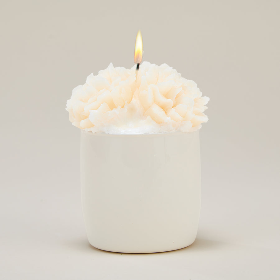 Carnation Blossoms Potted Candle