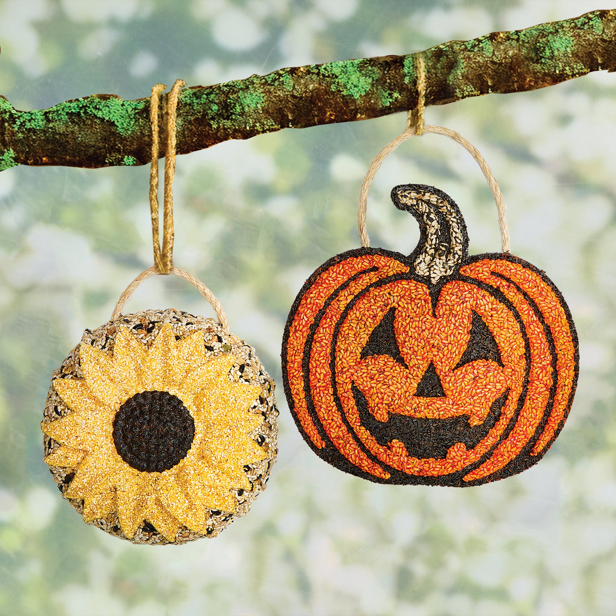 Jack O' Lantern Bird Seed Feeder