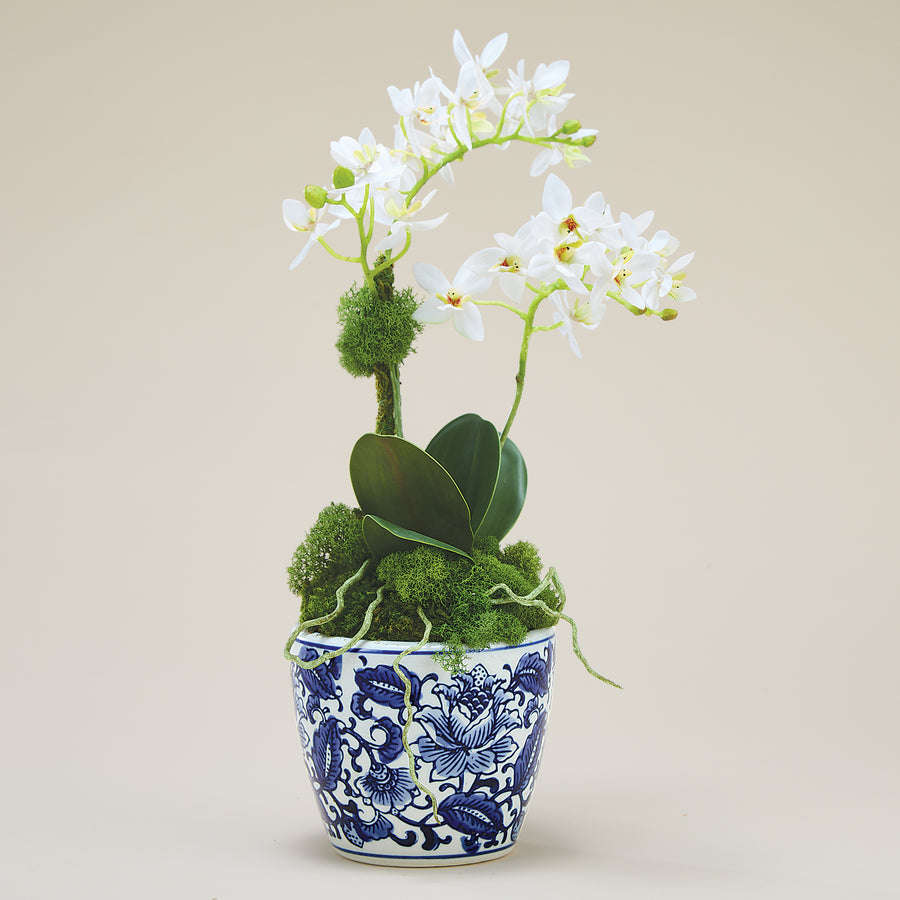 Faux White Orchid in Blue & White Pot (Preorder)