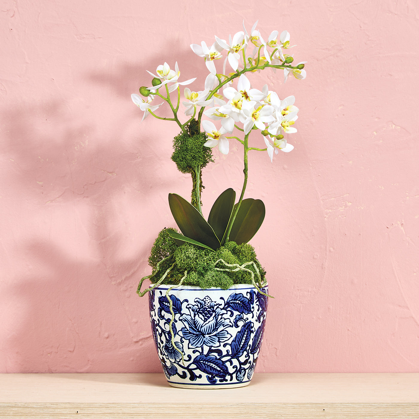 Faux White Orchid in Blue & White Pot (Preorder)