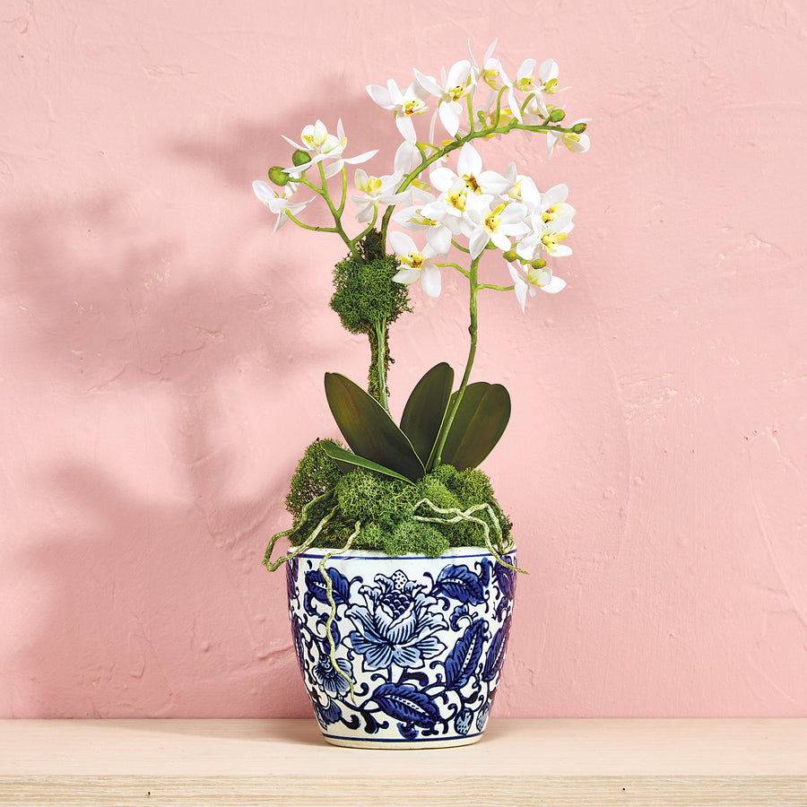 Faux White Orchid in Blue & White Pot (Preorder)