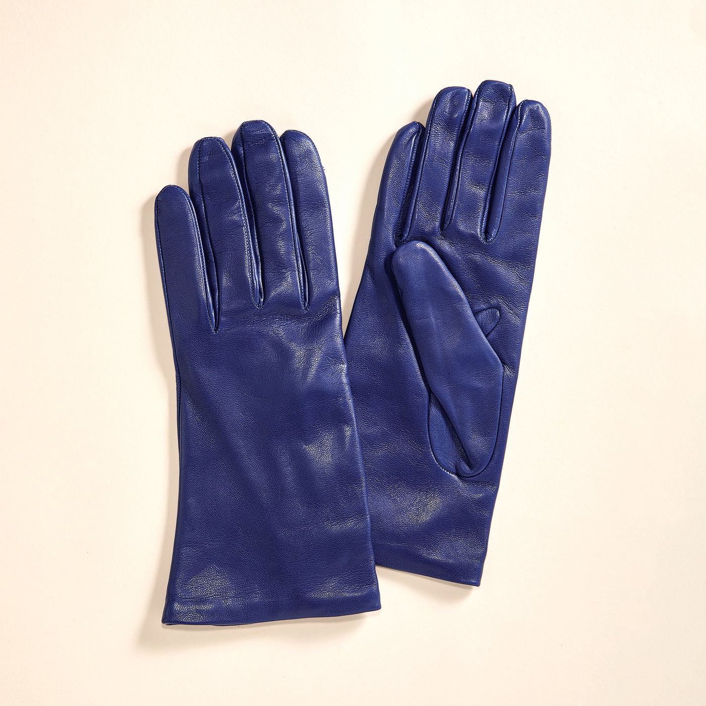 Cashmere Lined Blue Leather Gloves