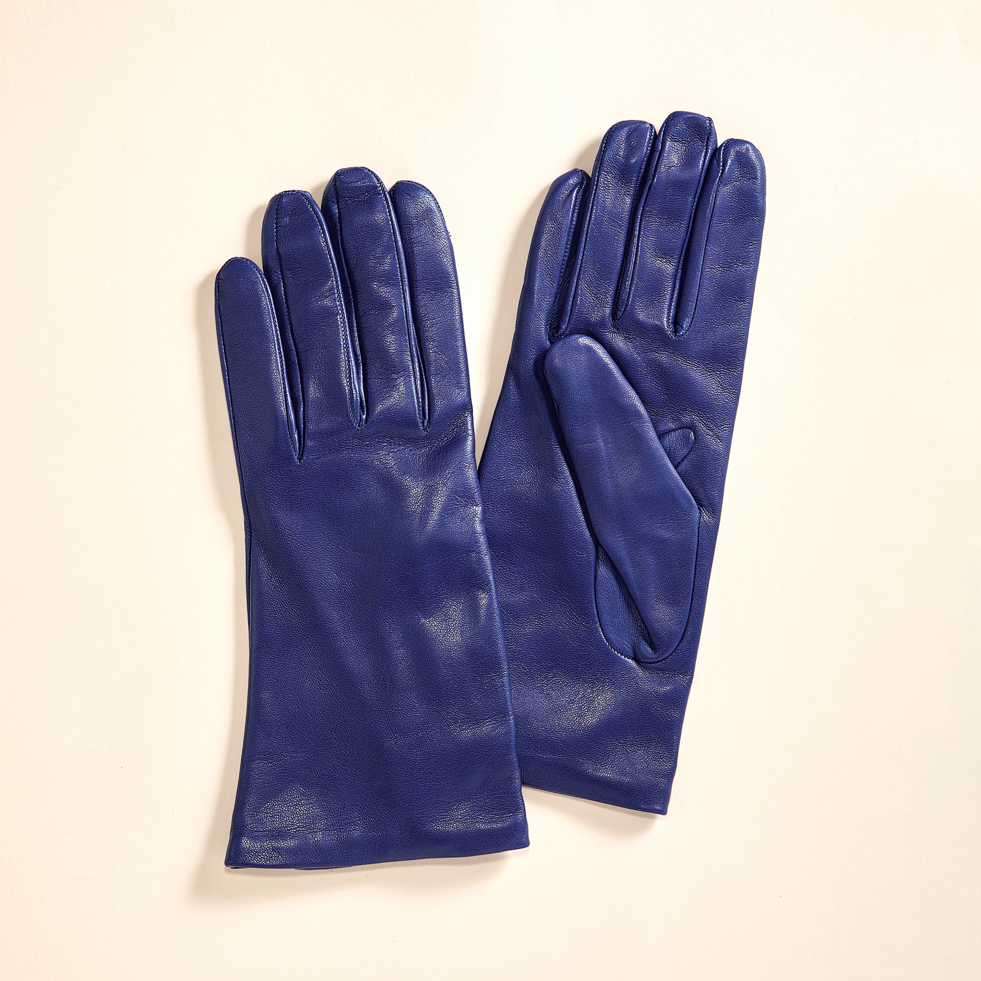Cashmere Lined Blue Leather Gloves