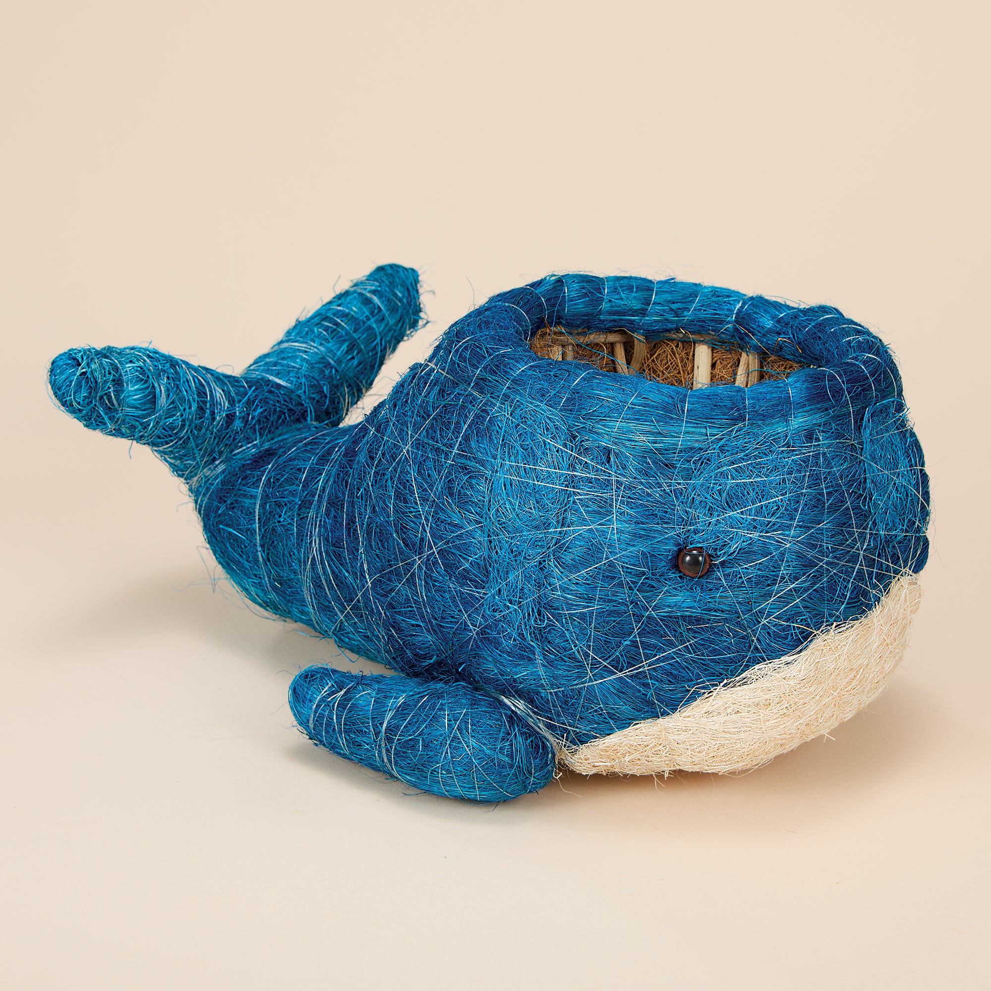 Whimsical Whale Coconut Coir Planter