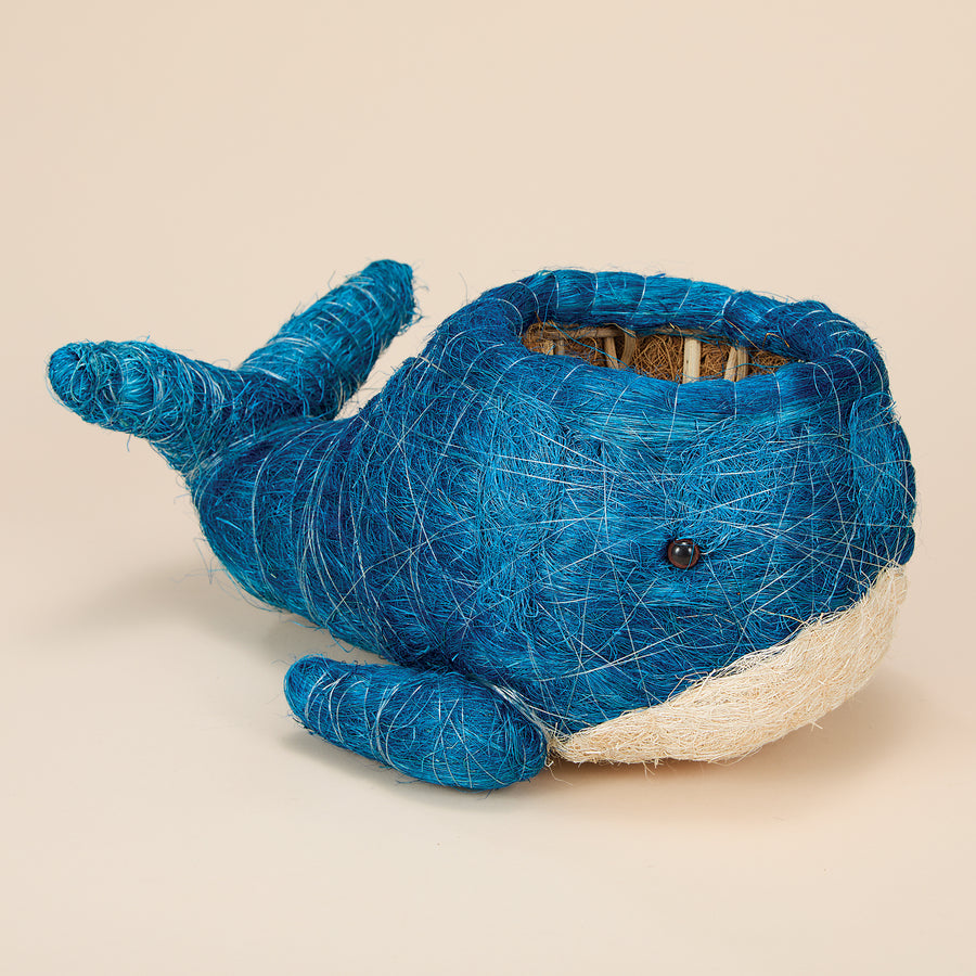 Whimsical Whale Coconut Coir Planter (Preorder)