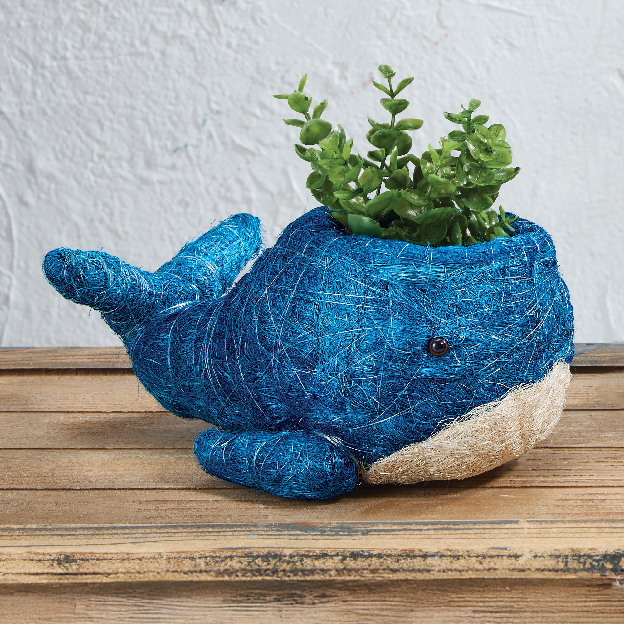 Whimsical Whale Coconut Coir Planter