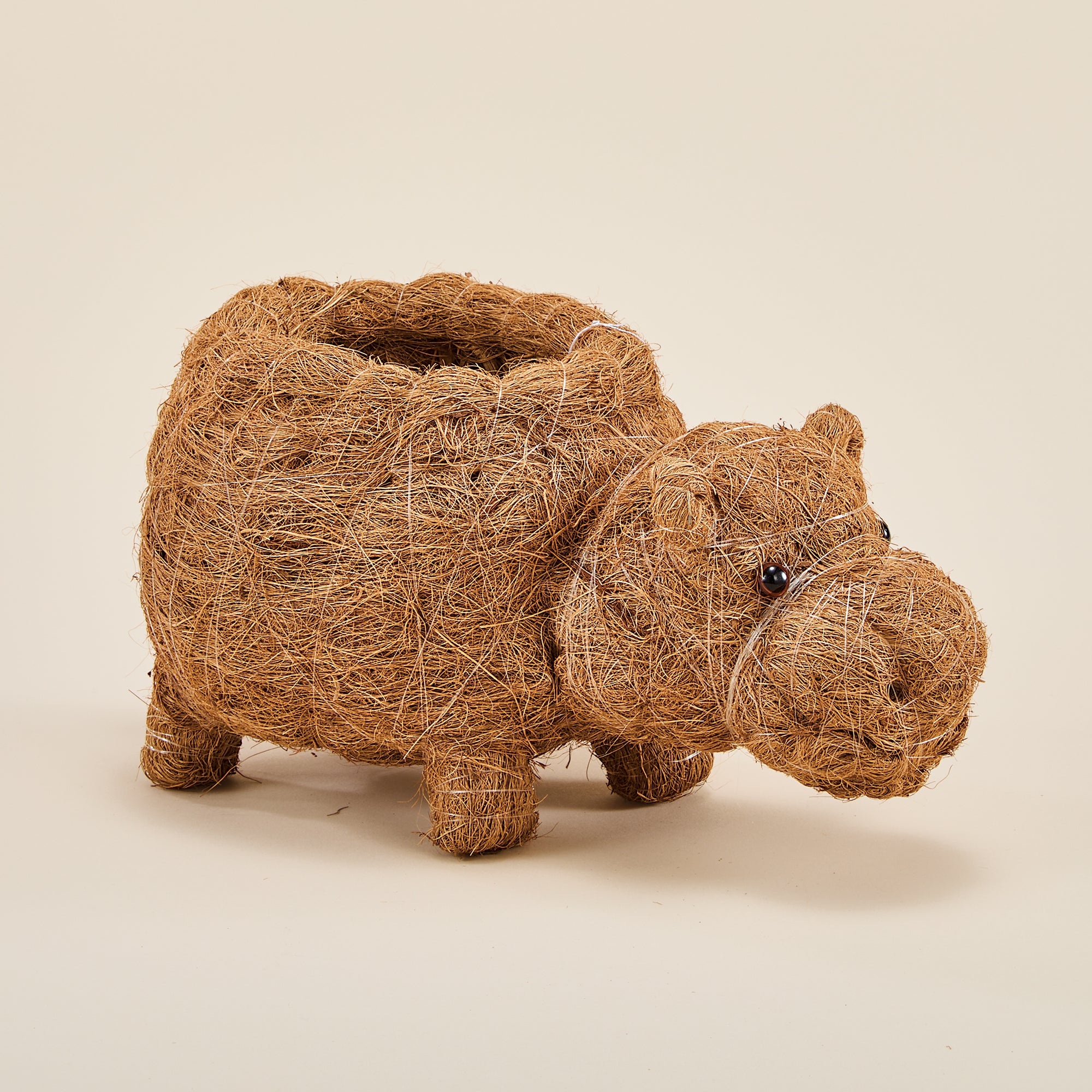 Coconut Coir Happy Hippo Planter
