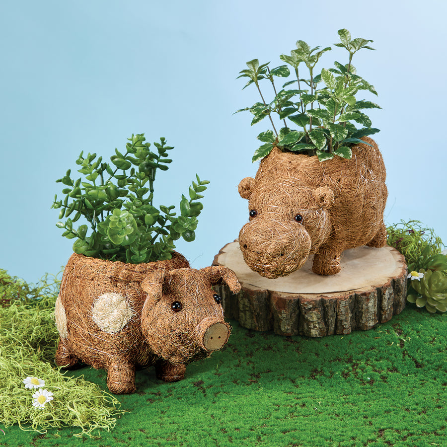 Coconut Coir Happy Hippo Planter