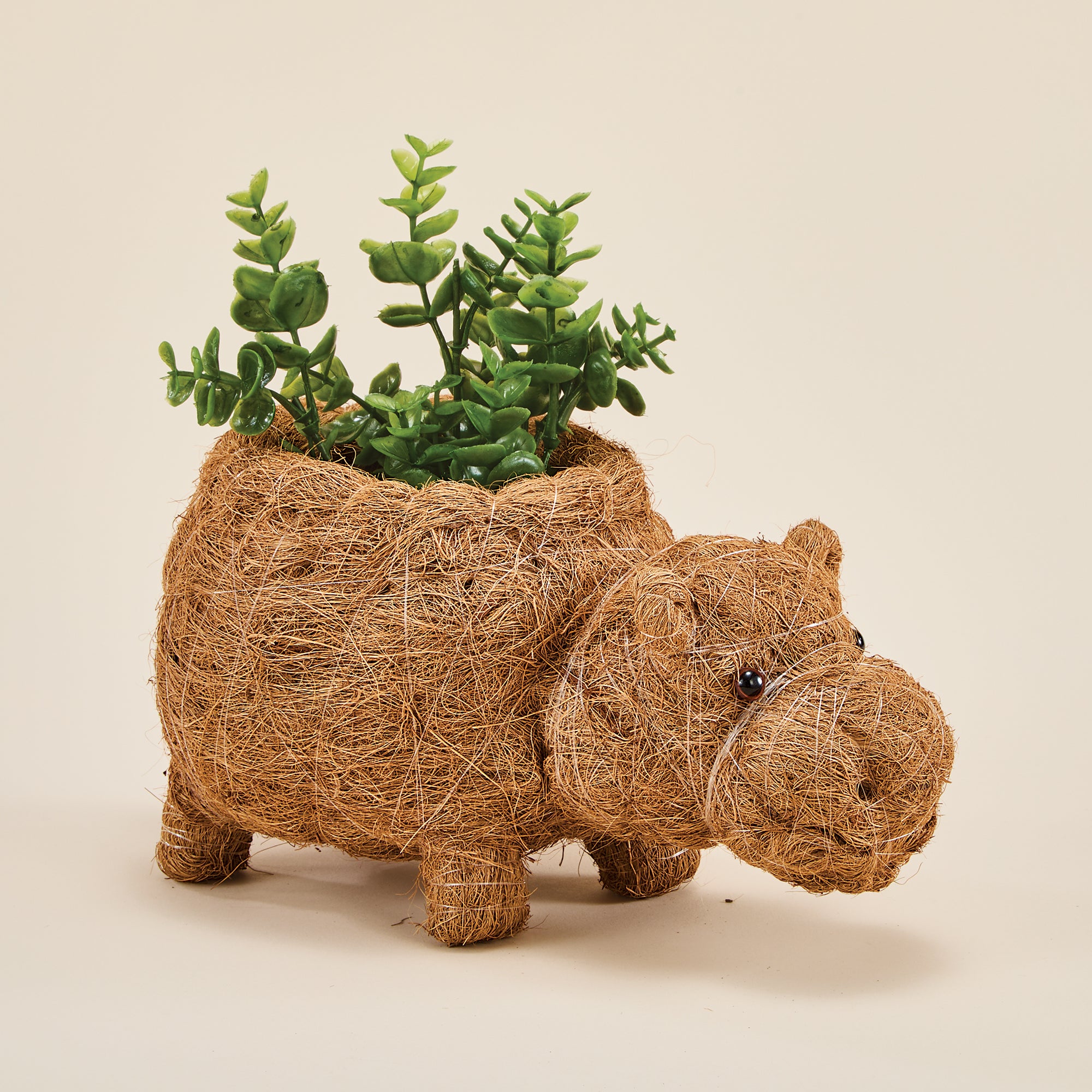 Coconut Coir Happy Hippo Planter