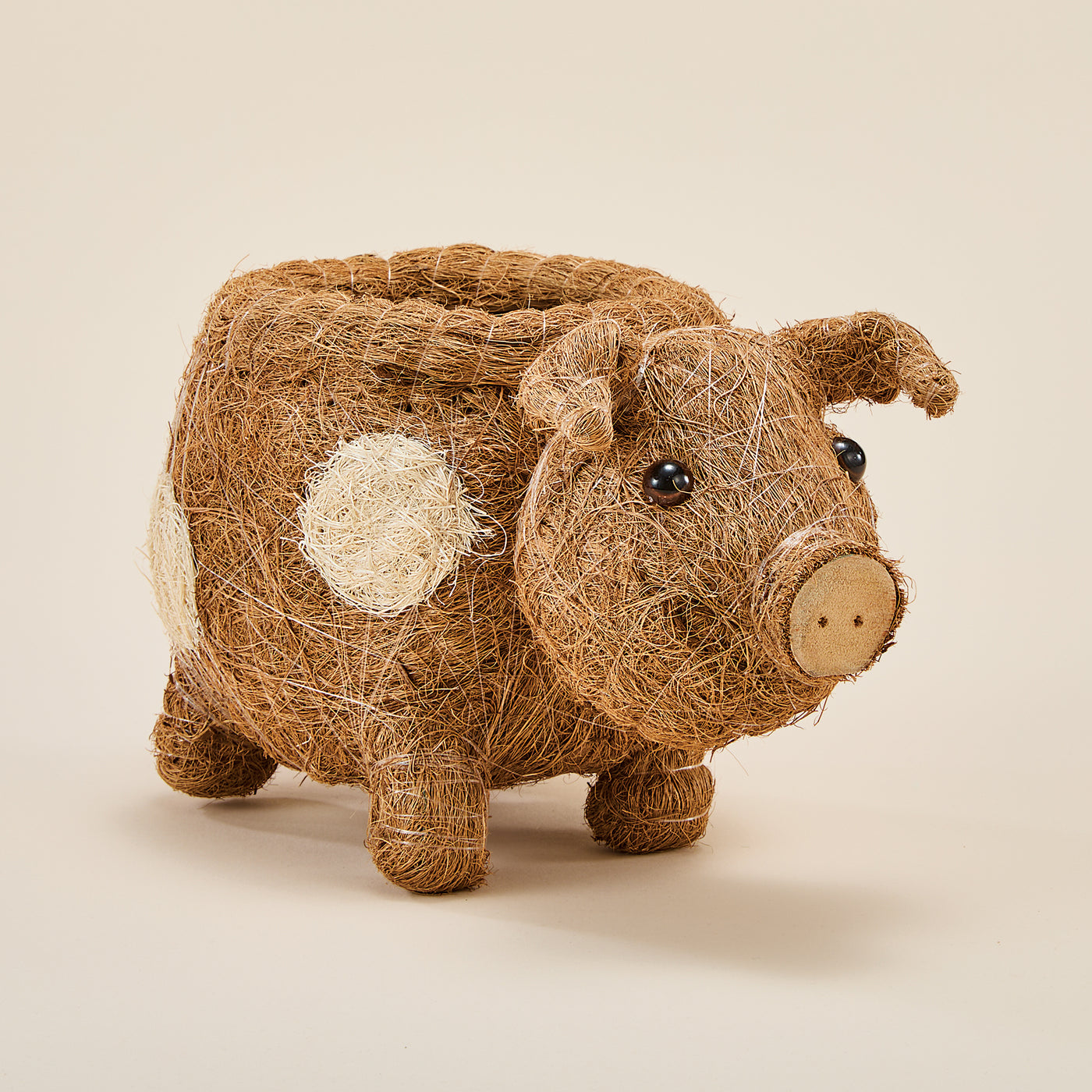 Coconut Coir Polka-Dotted Pig Planter