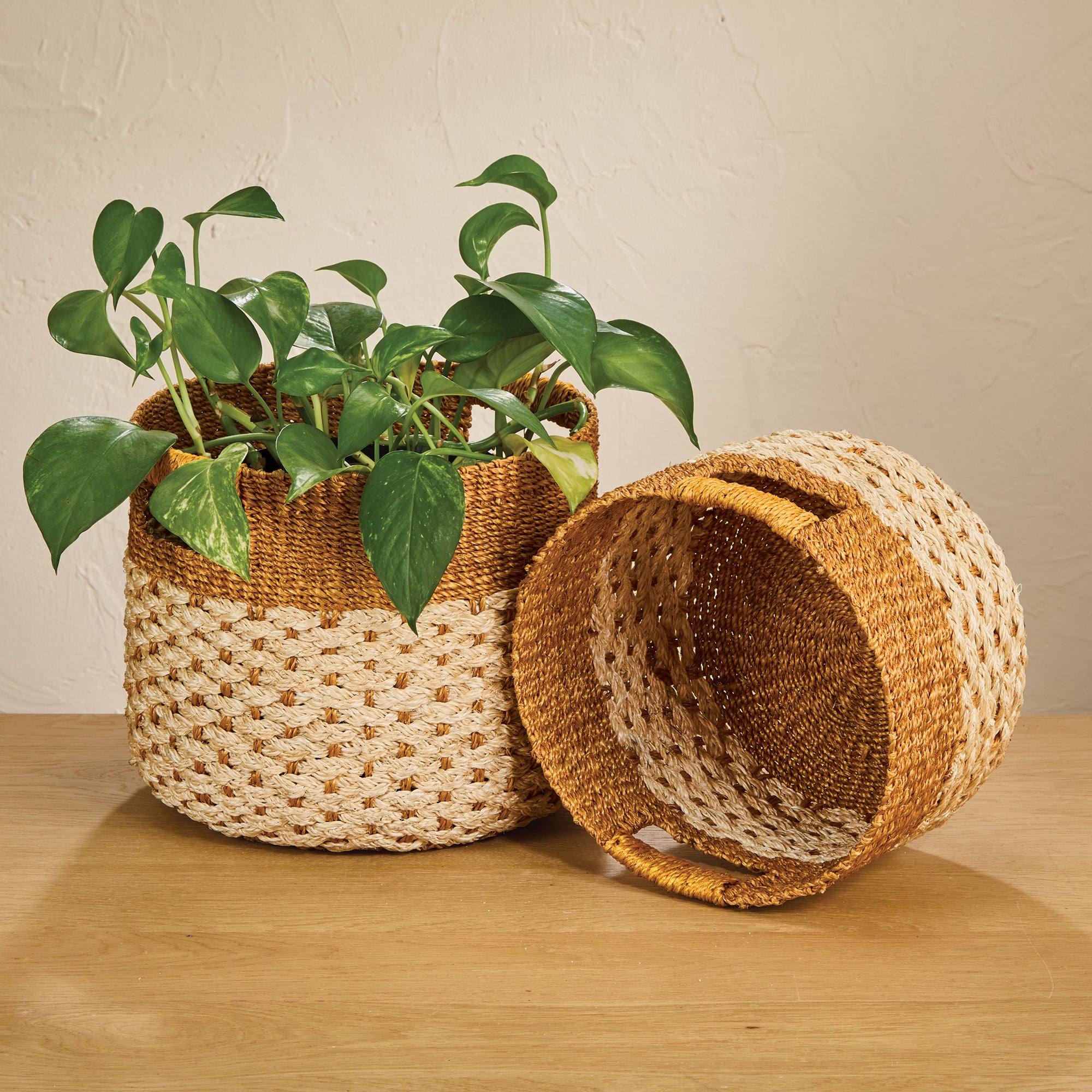 Nested Abaca Fiber Round Baskets Set of 2
