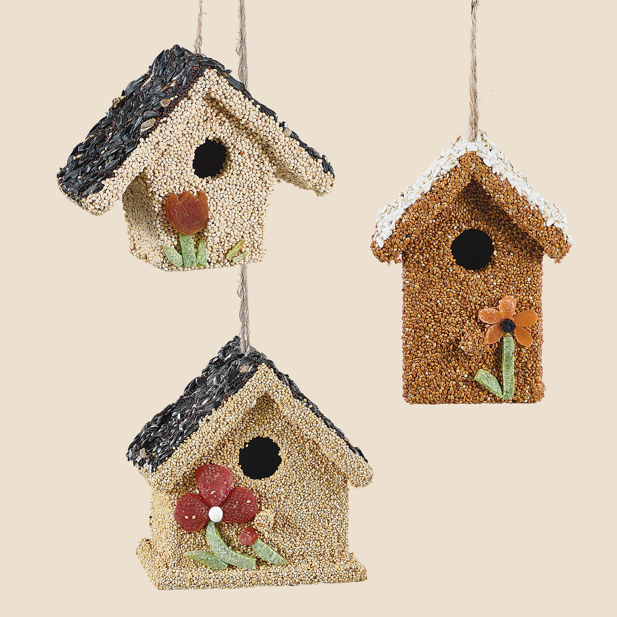 Edible Birdhouse Trio