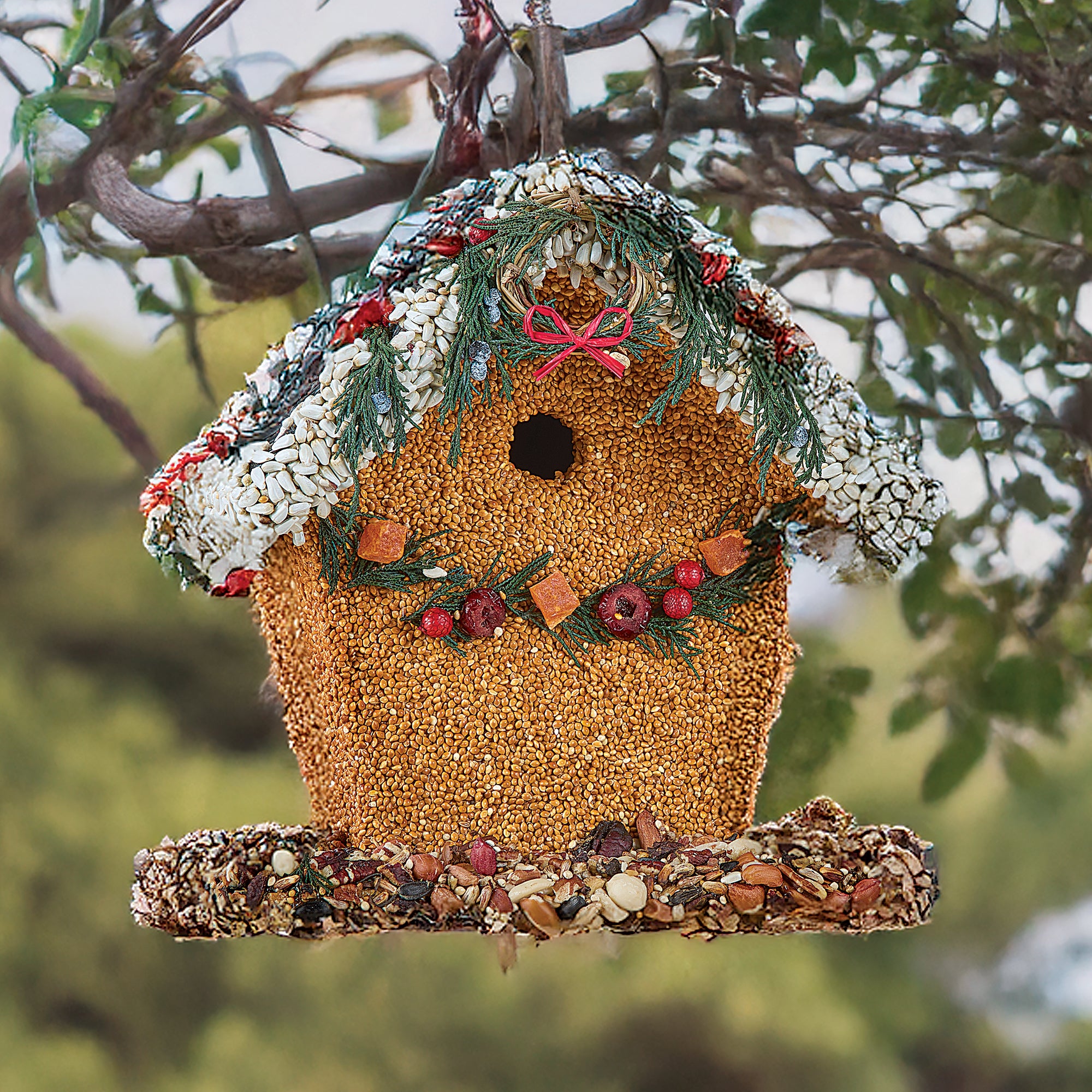 Edible Holly Wreath Birdhouse