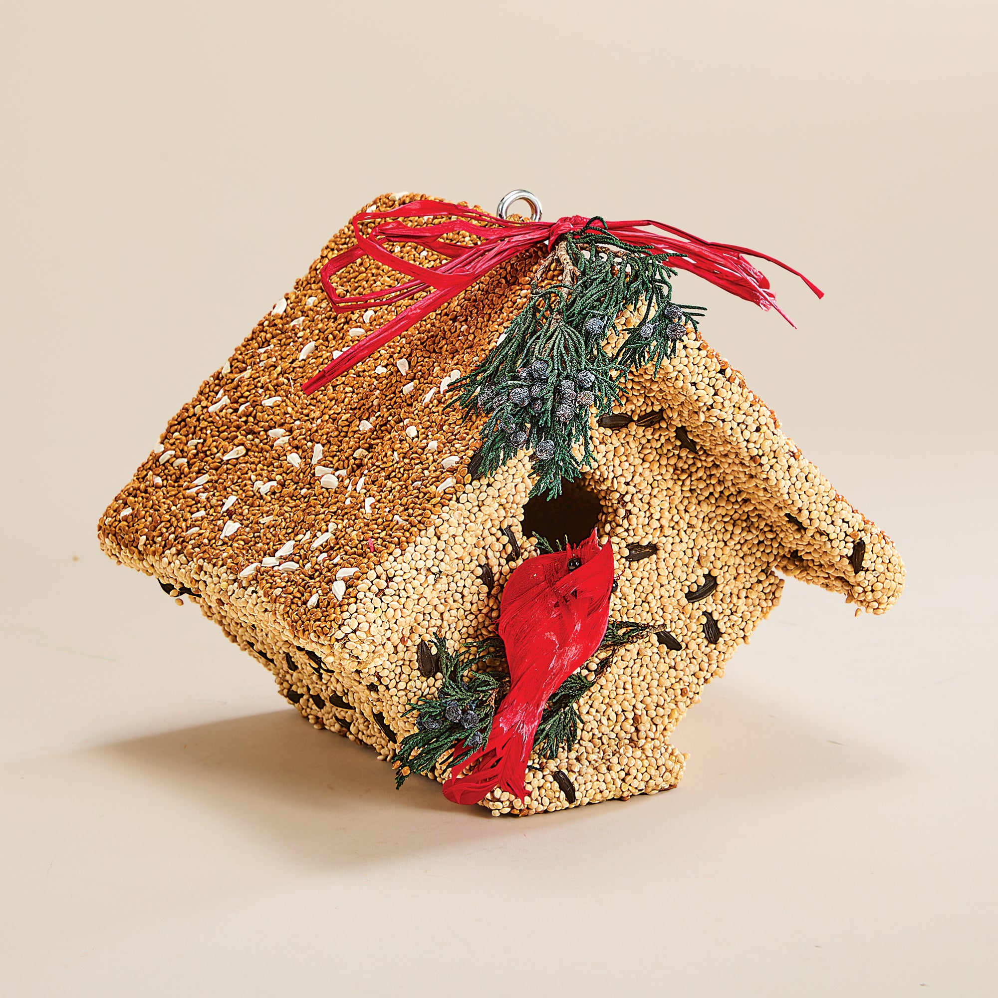 Edible Cozy Cardinal Birdhouse