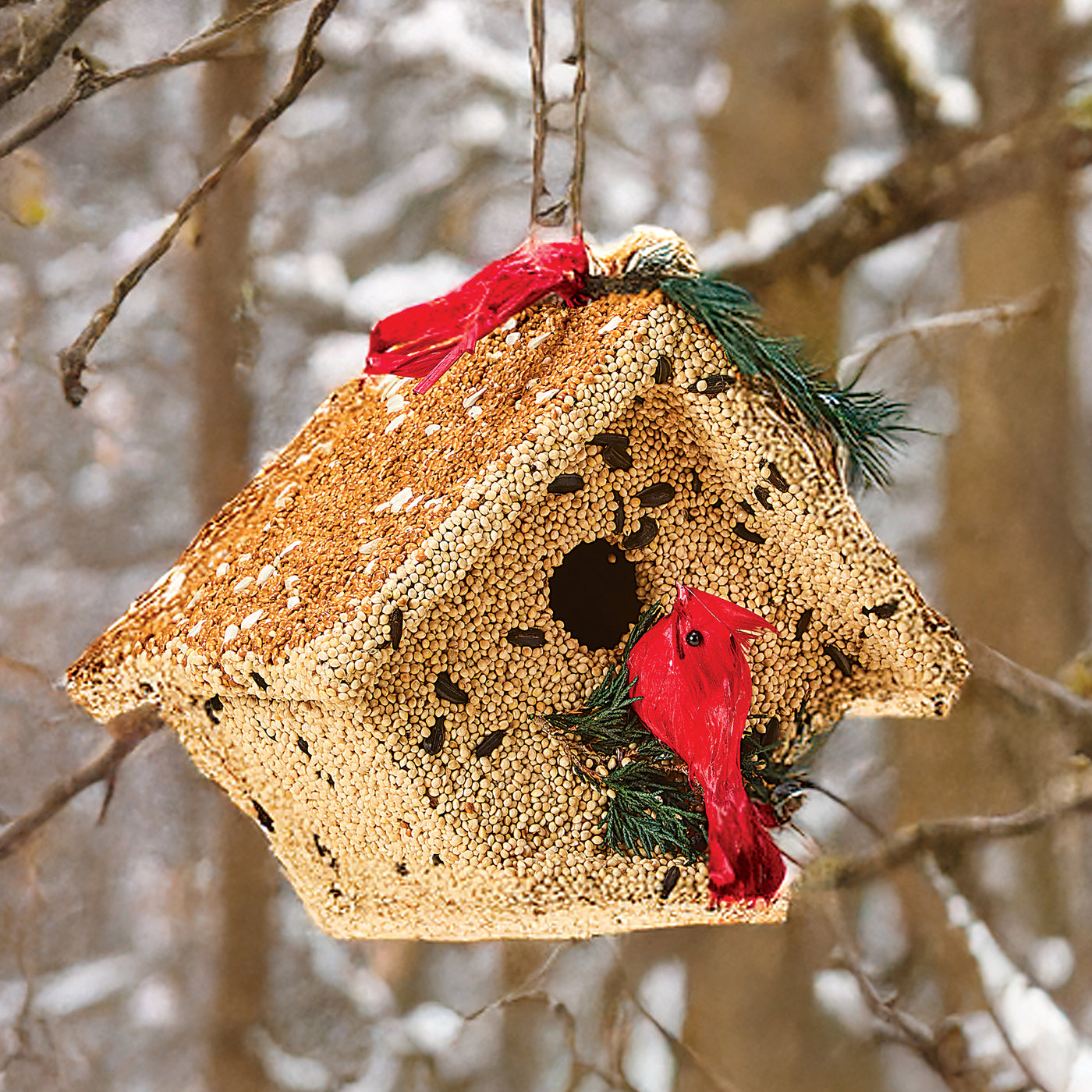 Edible Cozy Cardinal Birdhouse