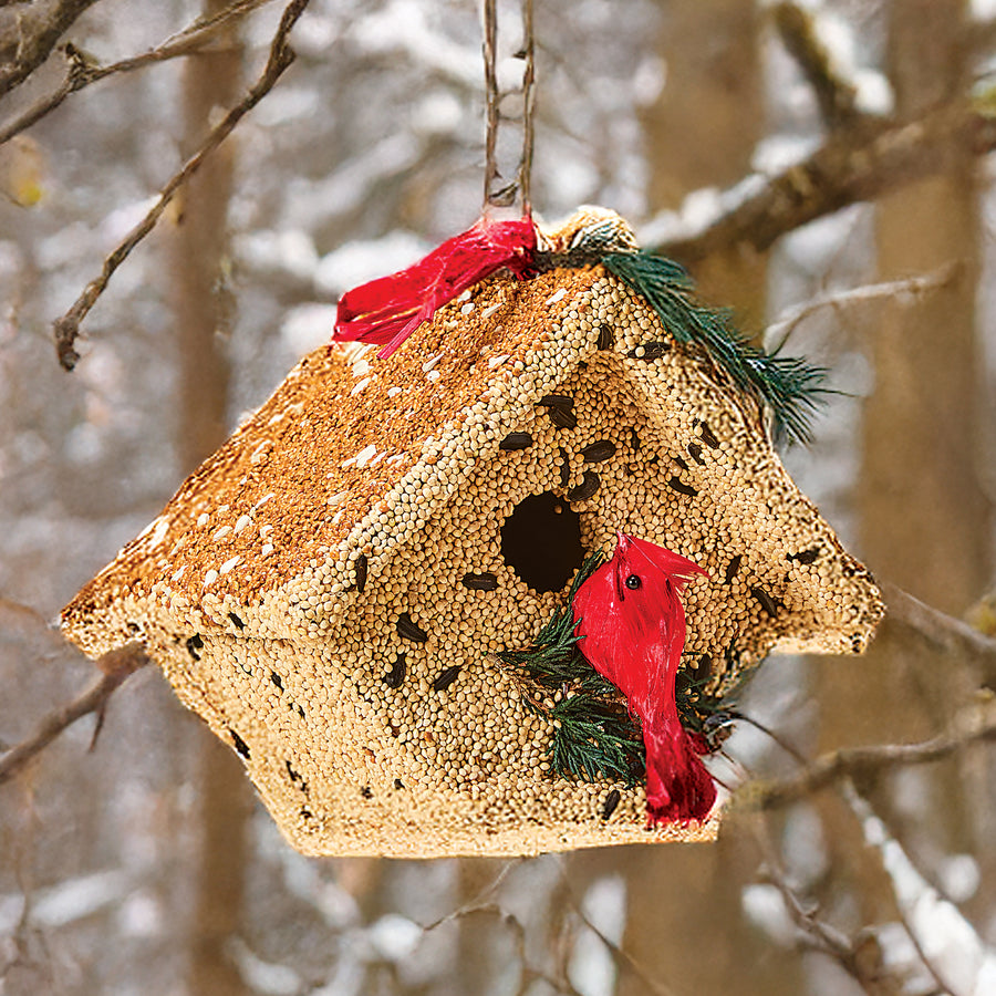 Edible Cozy Cardinal Birdhouse