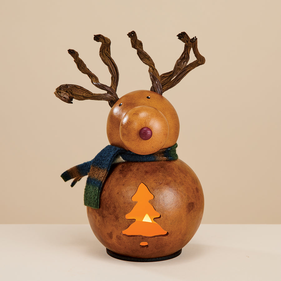Dash The Reindeer Luminary Gourd