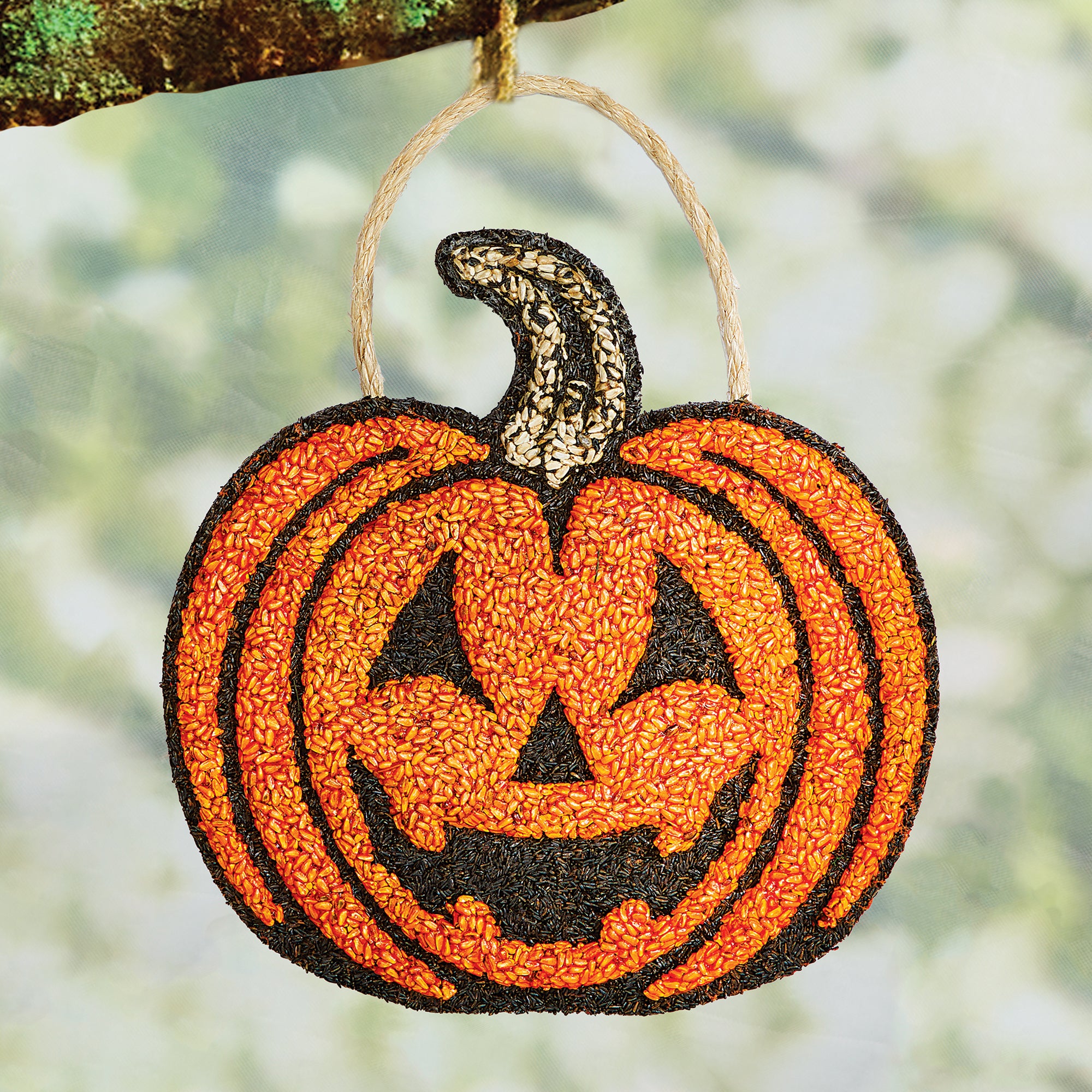 Jack O' Lantern Bird Seed Feeder