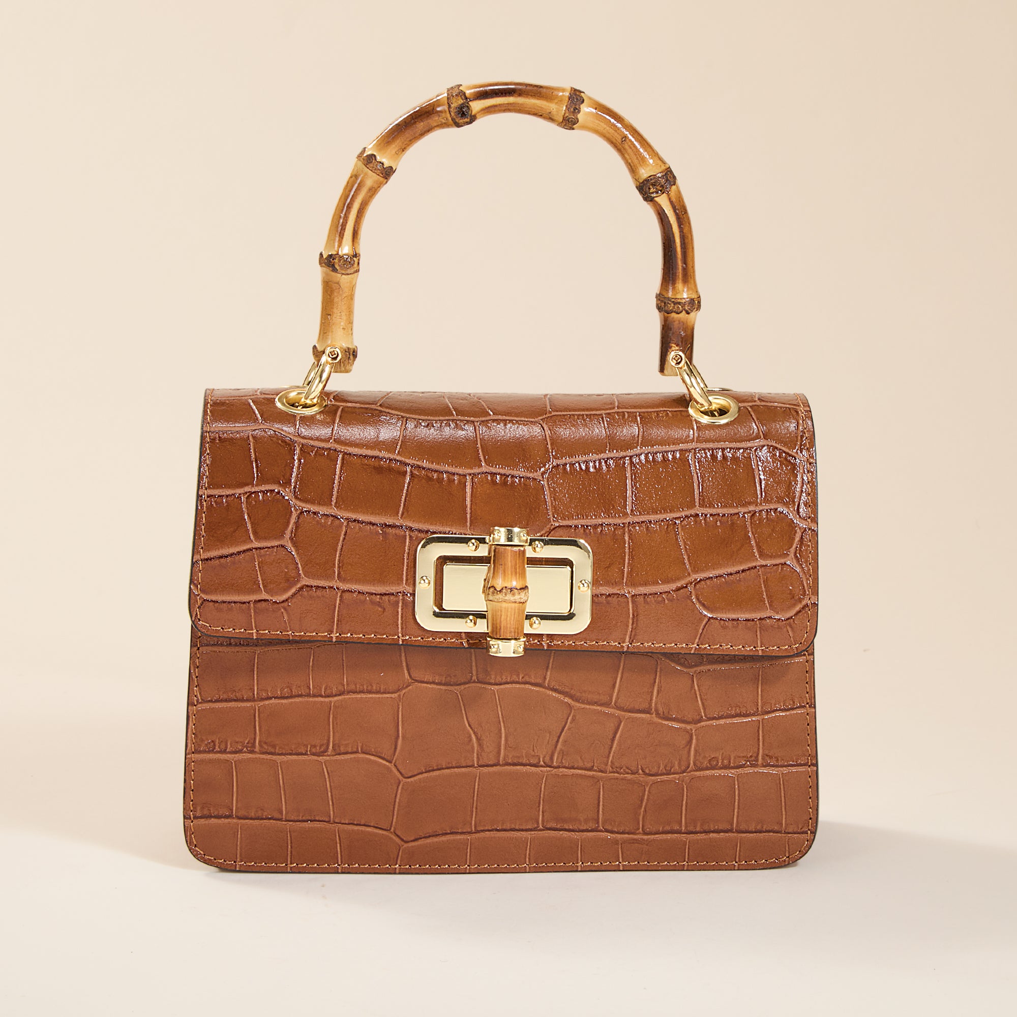 Corniglia Italian Croco Leather & Bamboo Mini Satchel