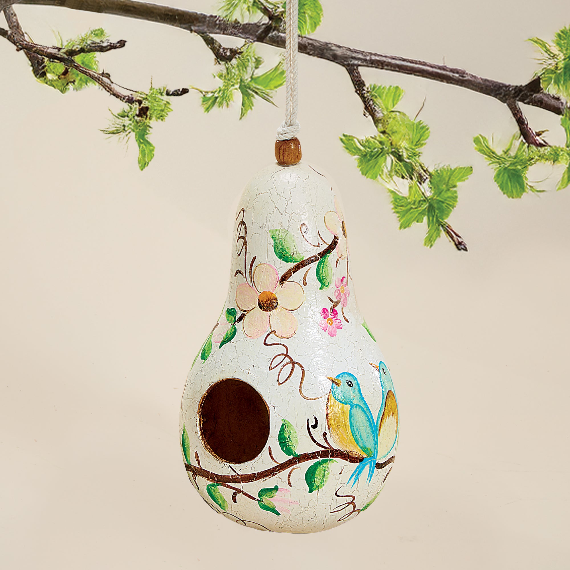 Hand-Painted Gourd Cherry Blossoms Birdhouse