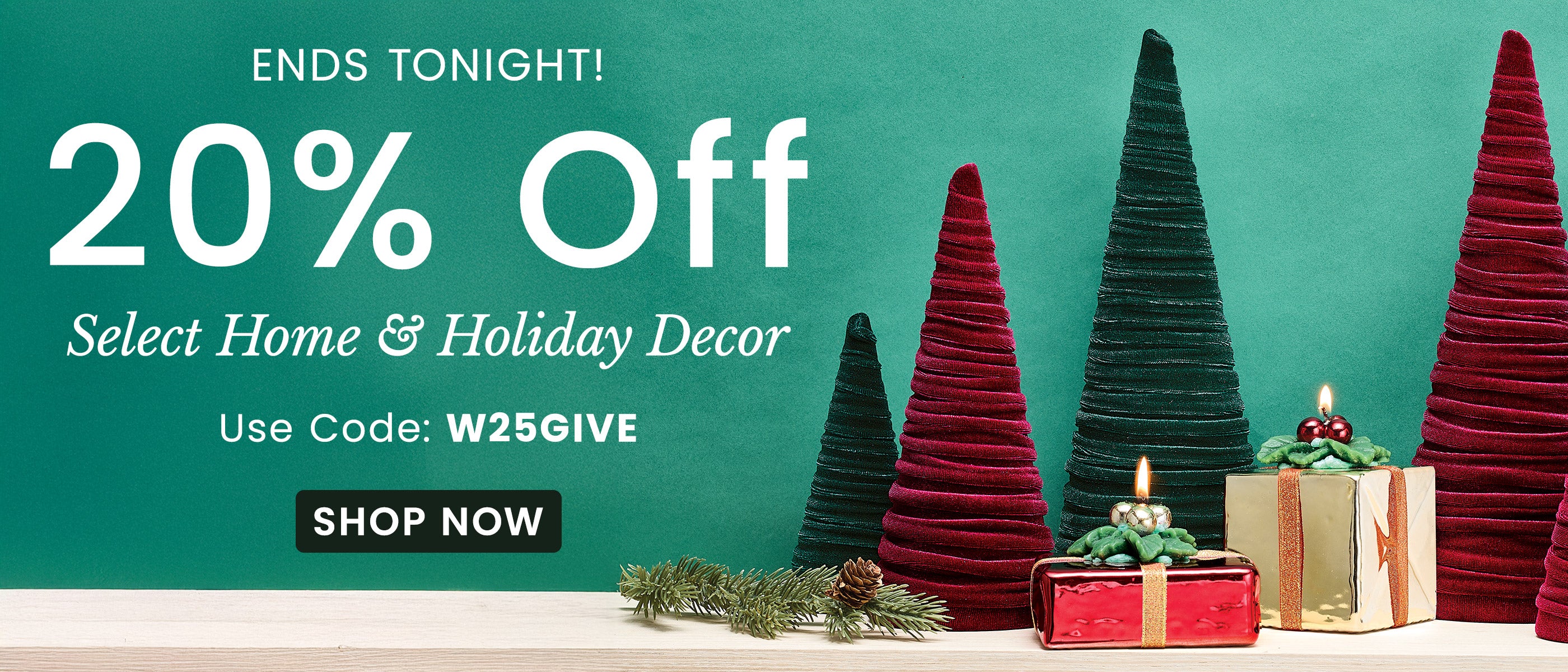 Ends Tonight! 20% Off Select Home & Holiday Decor | Use Code: W25GIVE