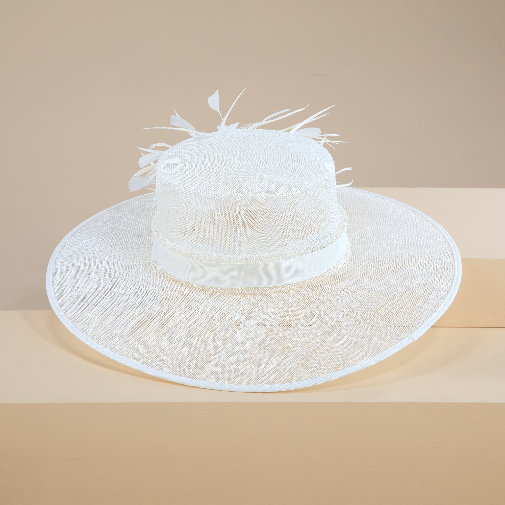 Lauren Feathered Wide-Brimmed Derby Hat