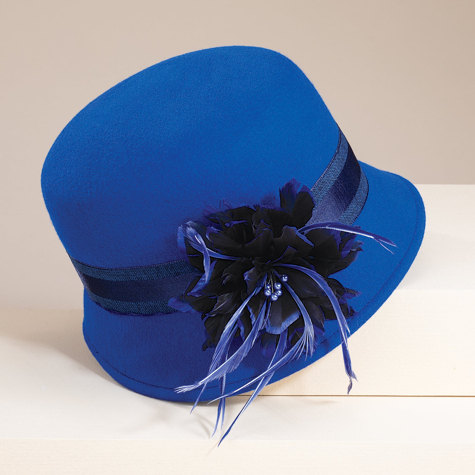Brigitta Cobalt Wool Feather Cloche