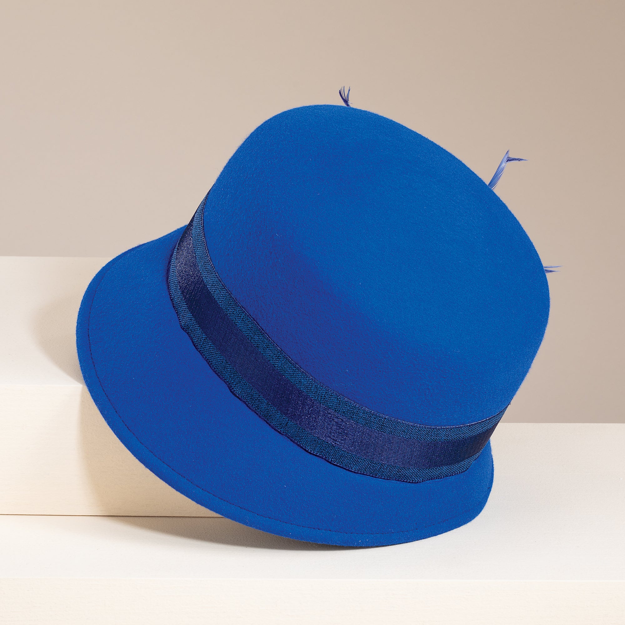 Brigitta Cobalt Wool Feather Cloche