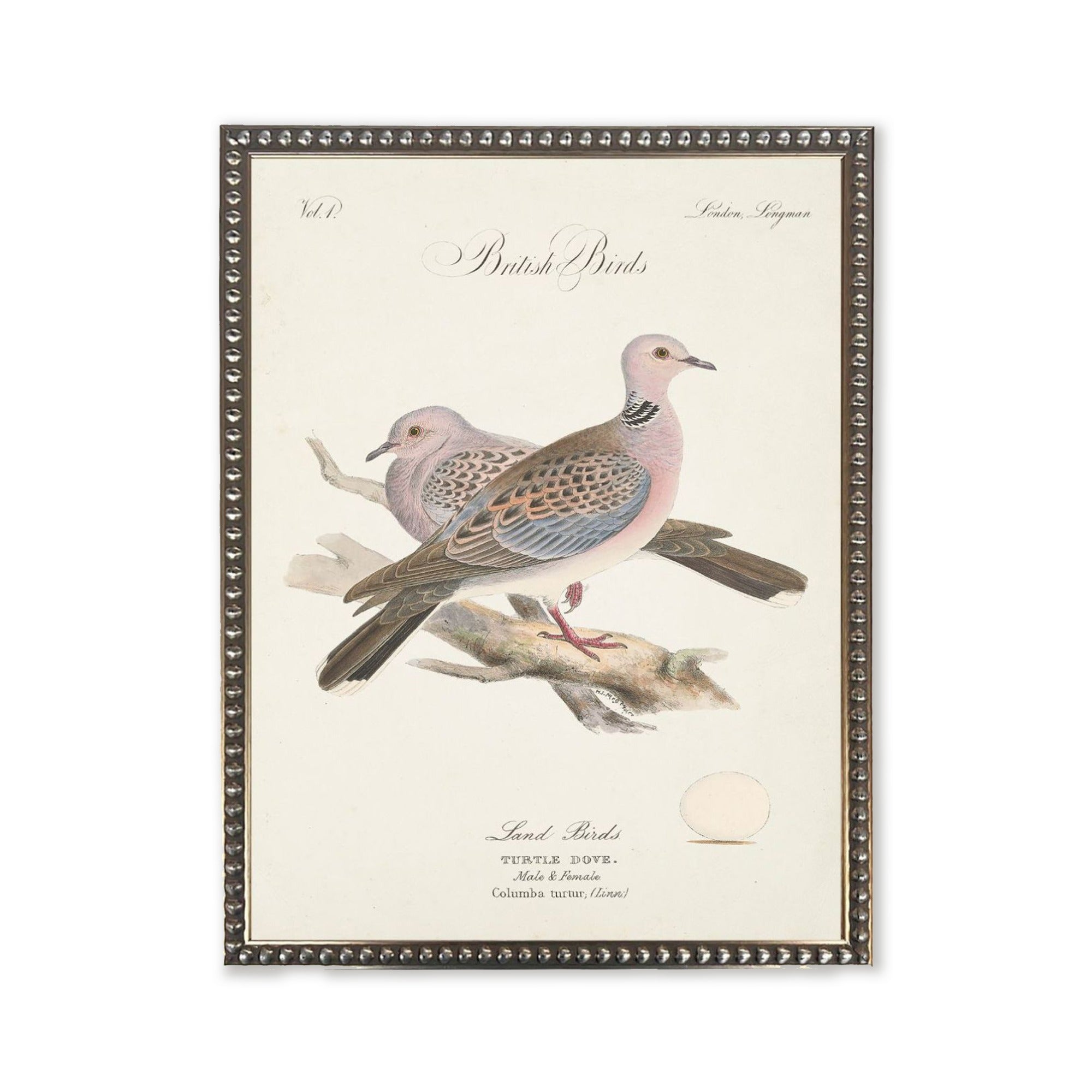 Vintage Turtle Dove Art Print in Silver Beaded Wood Frame
